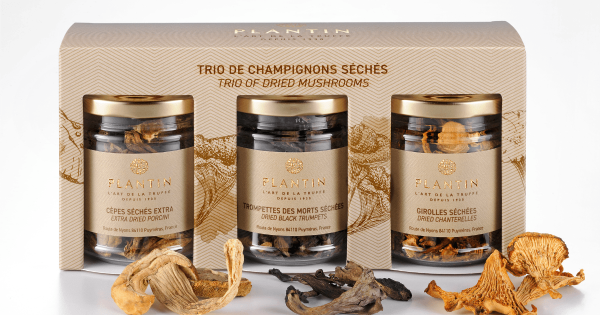 Les champignons Plantin – délices automnaux.