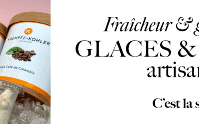 Fondez pour nos glaces et sorbets maison !