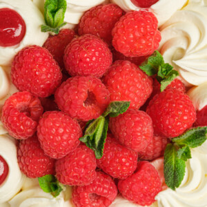 Charlotte Framboise - Création (8 pers)